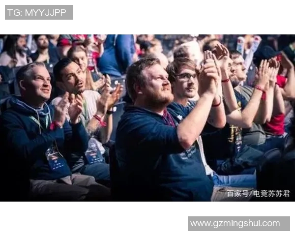 电竞数据分析师张芳畅谈DOTA2职业生涯与成长历程 电竞数据分析师张芳畅谈DOTA2职业生涯与成长历程